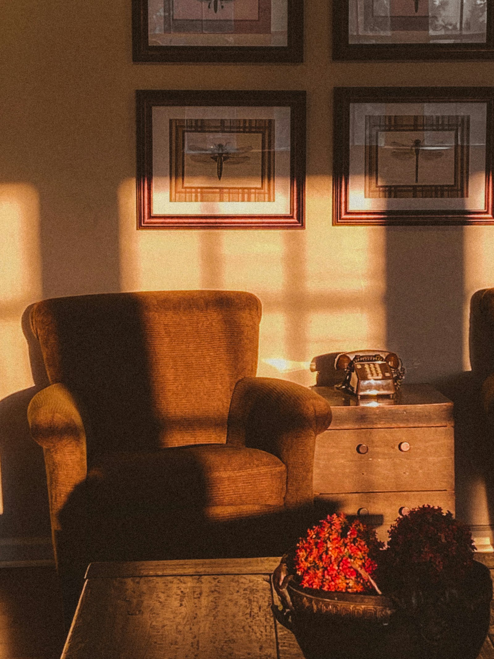 Fauteuil en velours dans la lumière du soir